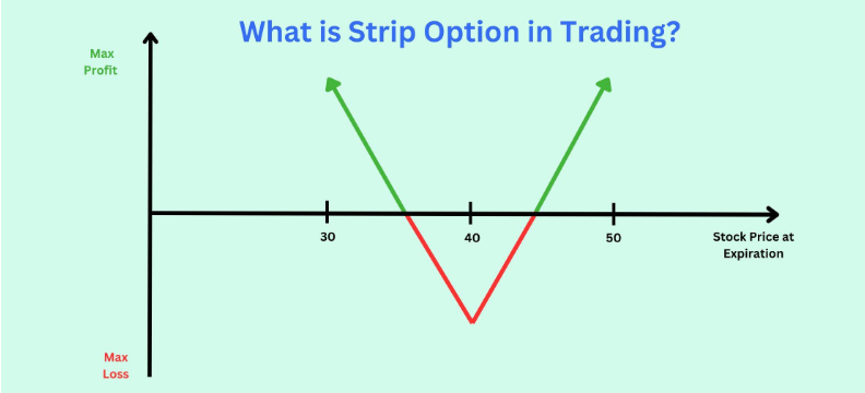 What is Strip Option in Trading?